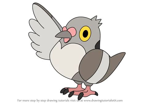 How To Draw Pidove From Pokemon Pokemon Step By Step