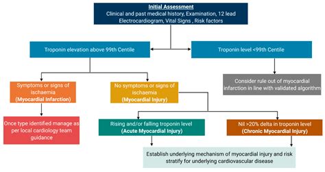 Jcm Free Full Text Diagnosis Investigation And Management Of