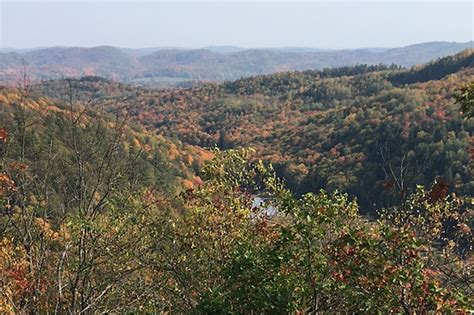 A Push To Protect Rare Old Growth Forests Canadas National Observer