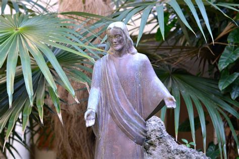 Jesus Under The Old Man Palm Stock Photo Image Of Messiah Peace
