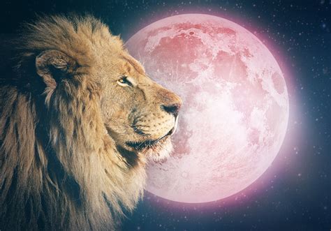 Blood moon eclipse on the night of may 26, the first total lunar eclipse of 2021 and the first since january 2019 eclipse will appear in the heavens over southeast asia, continuing on until it is visible in south america, australia, and the western half of north america. How Will The 'Super Blood Moon Eclipse in January 2019 ...