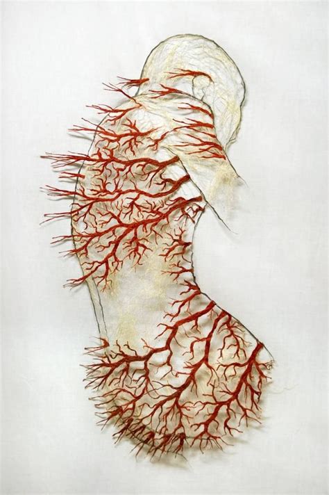 Rush Collage Bio Art Anatomy Art Anatomical Heart Art