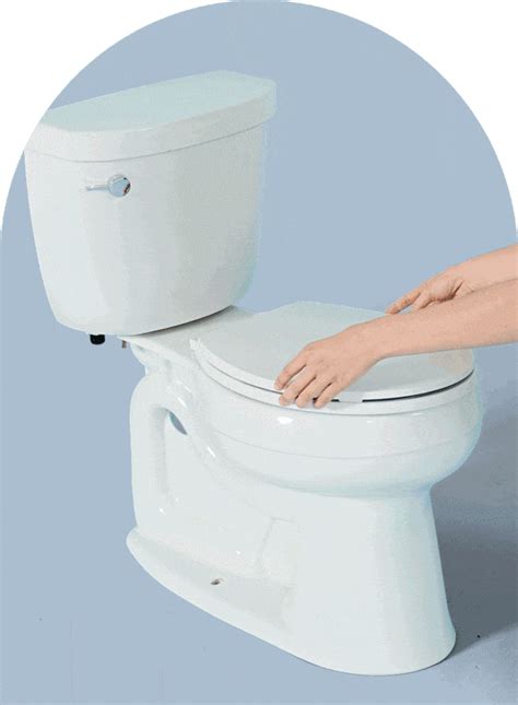 Tushy Bidet Toilet Attachment Review Best Decoration Porsc Gallery