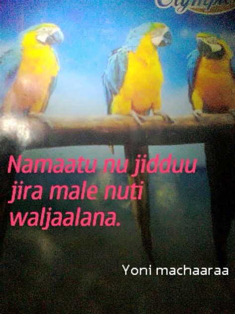 Jechoota Jaalalaa Afaan Oromoo Qofaan Love Words Only In Afaan Oromoo