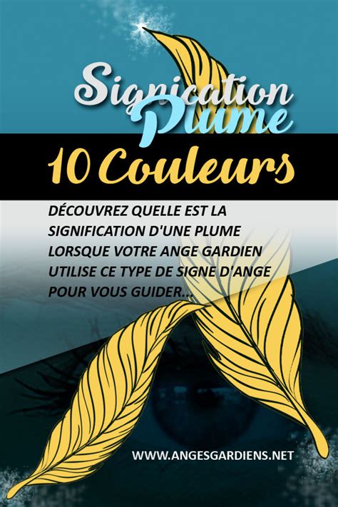 Signification Des Plumes 10 Couleurs De Plumes Photo Anges Gardiens