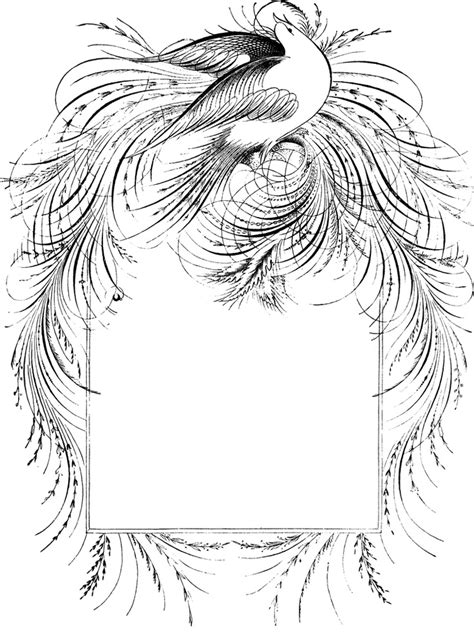 Description A Border Of A Bird Word Art Design Outline Drawings