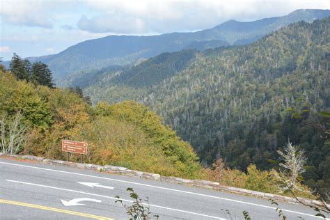 Newfound Gap In Gatlinburg Tennessee Kid Friendly Attractions Trekaroo