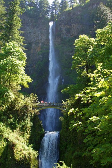 Old But Free Multnomah Falls Oregon