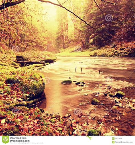 View Into Autumn Mountain River With Blurred Waves Fresh Green Mossy