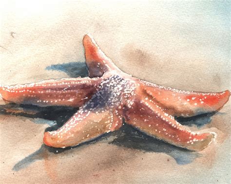 Starfish Decor Watercolor Painting Art Print By Eric Sweet Etsy