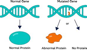 So a change in an organism's dna can cause changes in all aspects of its life. Research on gene mutations caused by nuclear radiation ...