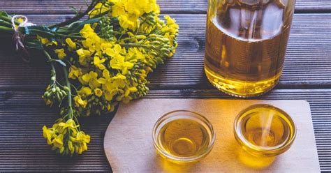 How long can you use horseradish after expiration? Does Canola Oil Go Bad After Expiration Date? | Fitibility