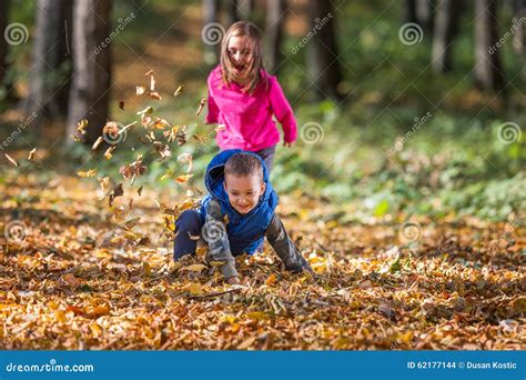 Children Playing With Leaves Stock Photo Image Of Adorable Bright