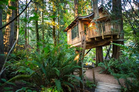 11 Treehouses You Can Actually Stay In