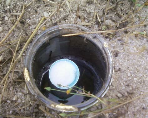 7 powerful homemade ant killers: No Poison Ant Trap (with Pictures) - Instructables