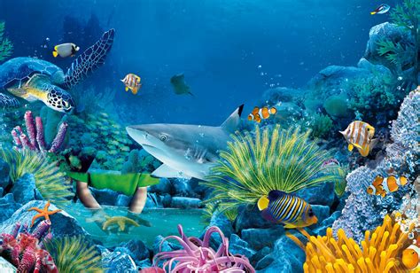 Ocean Life Wallpaper Wallpapersafari