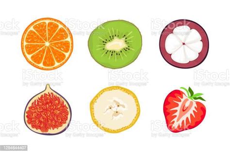 Tranches De Fruits Isolées Sur Blanc Illustration Vectorielle Dorange