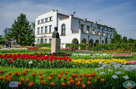 Grădina Botanică Din Cluj Napoca Oază De Linişte şi Relaxare Gazeta