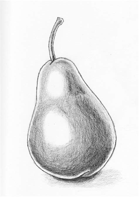 Pear Sketch At Explore Collection Of Pear Sketch