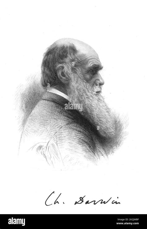 Charles Darwin 1809 1882 English Naturalist A Pioneer Of Theory Of