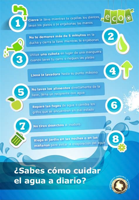 Ideas Para Cuidar El Agua Ecología Hoy