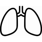 Lungs Icon Svg Lung Breathing Tuberculosis Chest