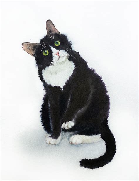 Curious Cat Black And White Cat Painting By Olga Belyaeva Pixels