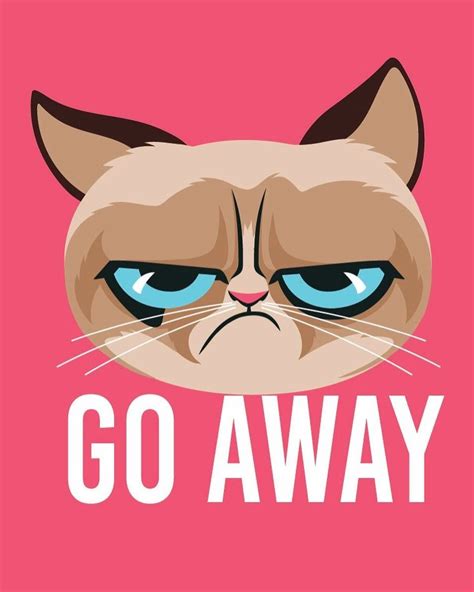 K Gilla Markeringar Kommentarer Grumpy Cat Realgrumpycat P Instagram Grumpy Cat
