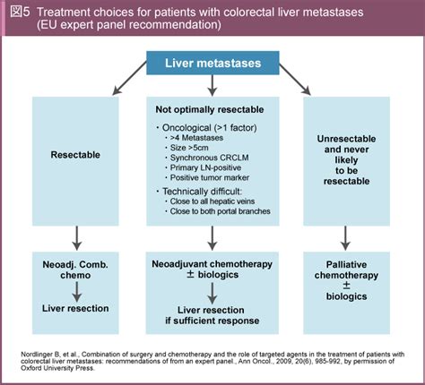 図5 Treatment choices for patients with colorectal liver metastases EU