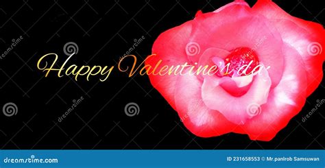 give a valentine s day card to express your love stock image image of cutout give 231658553