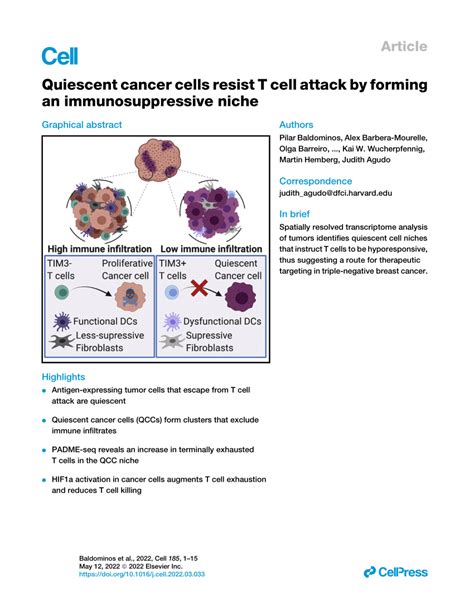 Pdf Quiescent Cancer Cells Resist T Cell Attack By Forming An