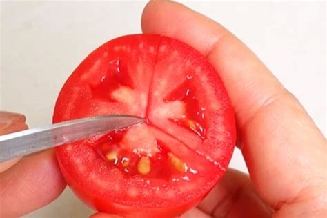 Meredith use a serrated kitchen knife or a very. How to cut tomatoes into slices or cubes for salad, tacos ...