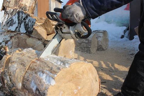 Man Man Saws Wood With Electric Saw Harvesting Firewood In Winter Stock