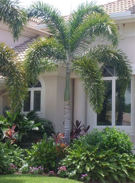 50 Florida Landscaping Ideas Front Yards Curb Appeal Palm Trees13 Ý
