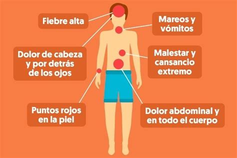 Principales Síntomas Del Dengue Clásico Y Hemorrágico Con Test Online