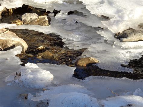 Winter Stream With Melting Ice Picture Free Photograph Photos