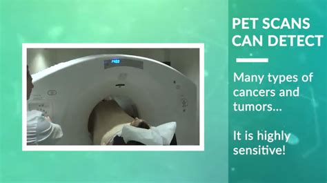 Fort Lauderdale Petct Scan Mri Scan And Imaging Center