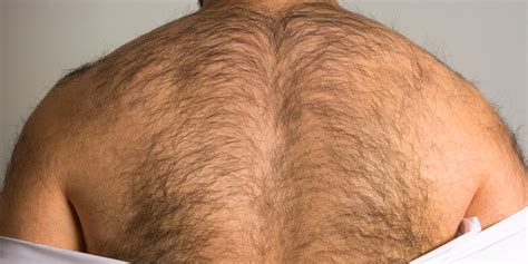 Half Of All Men Are Ashamed Of Their Body Hair Survey Suggests Fox News