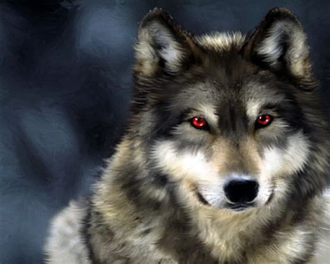 Awesome Wolf Wallpapers Wallpapersafari