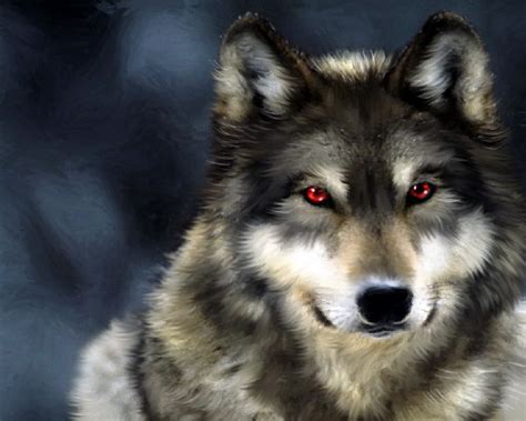 wolf - Wolves Wallpaper (32863738) - Fanpop