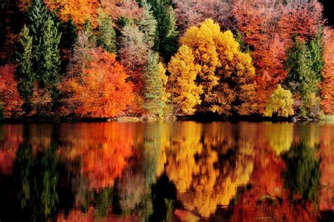 Photography Landscape Nature Fall Reflection Lake Forest Colorful Trees Austria