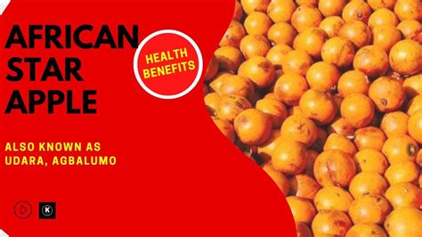 what i learnt about african star apple health facts about african star apple udara agbalumo