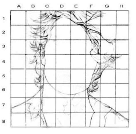 Portrait Drawing For The Ultimate Beginner The Grid Method Feltmagnet