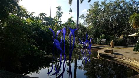 Fairchild Tropical Botanic Garden Part 5 Youtube
