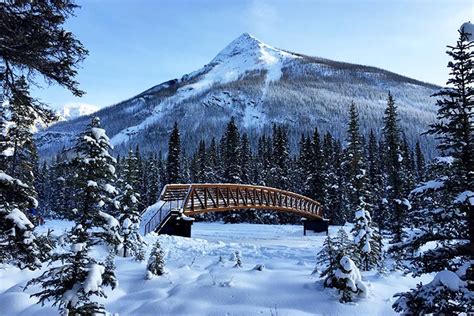 Canadian Rockies Winter Vacations Winter Vacations In Canada