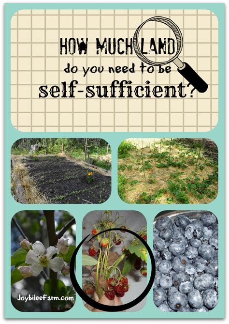I wonder how much space it turns out to be. How much land do you need to be self sufficient ...