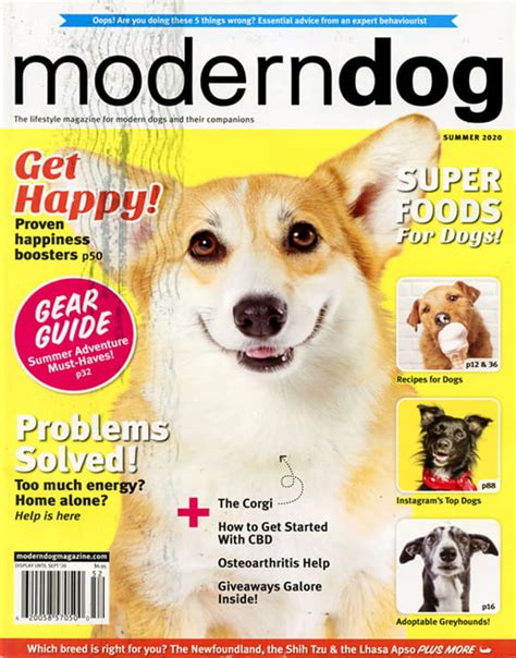 Modern Dog Magazine Subscription Magazineline Discounts
