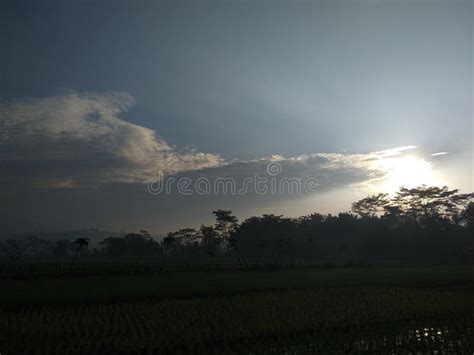 Morning Field Stock Image Image Of View Beautiful 124421695