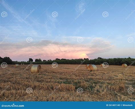 Golden Sunset Over The Green Field With Hay Stock Photo Image Of