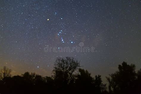 Orion Constellation Above The Night Forest Silhouette Stock Photo